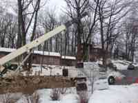 Removal of hazardous White Oak tree.